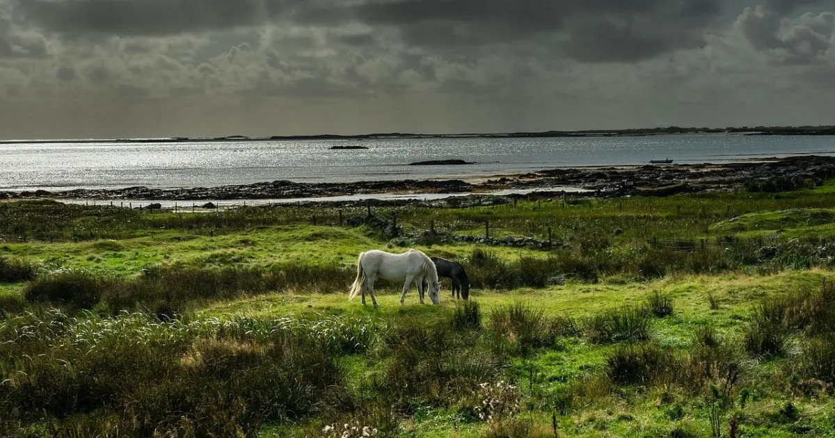 15 Unforgettable Things to Do in Ireland: Your Ultimate Travel Guide